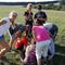 IMG_20180917_094522.jpg (800x600, 105.64 KB)