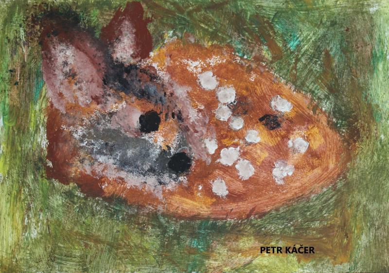 káčer petr.jpg, 800x563, 100.27 KB